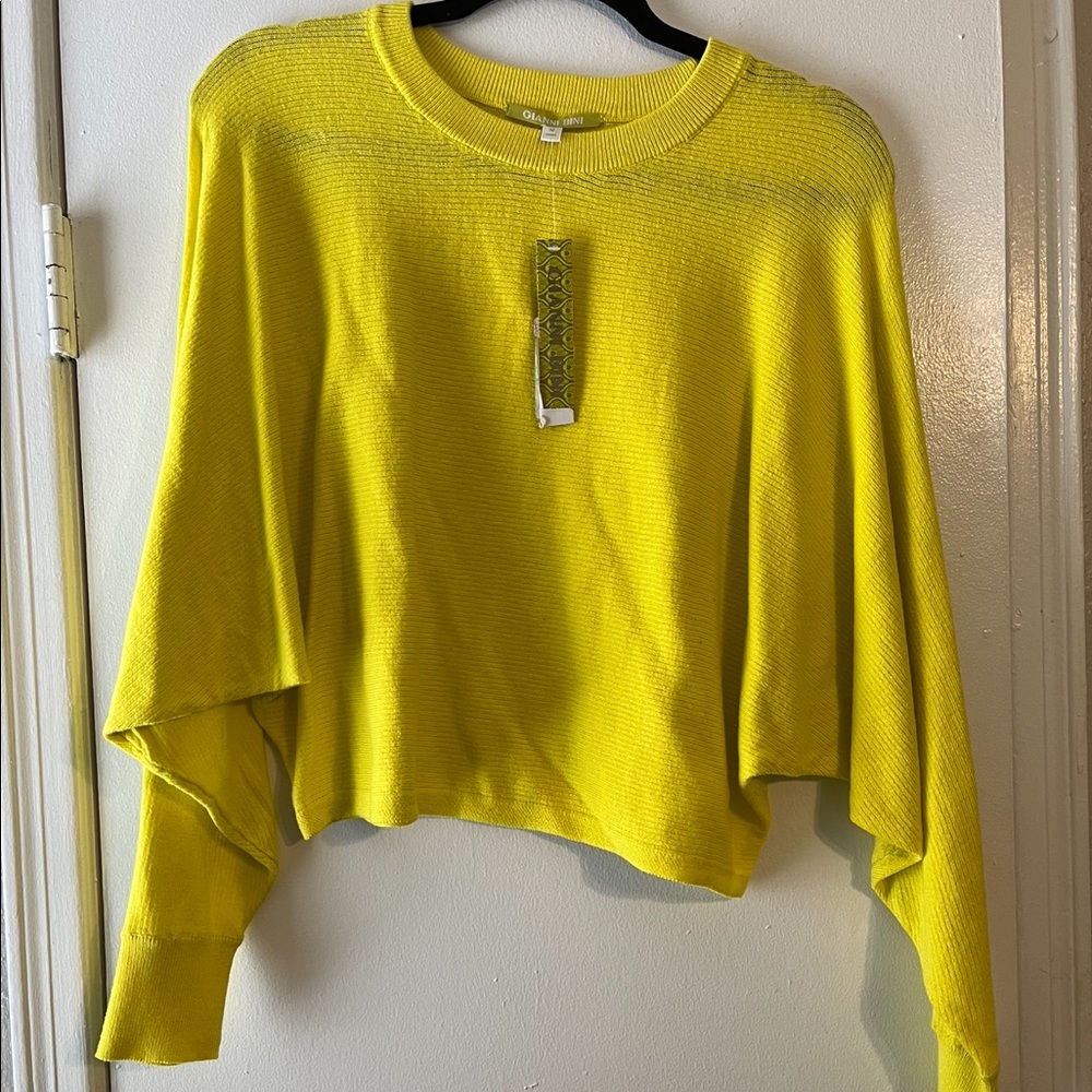 Gianni bini yellow green cropped sweater